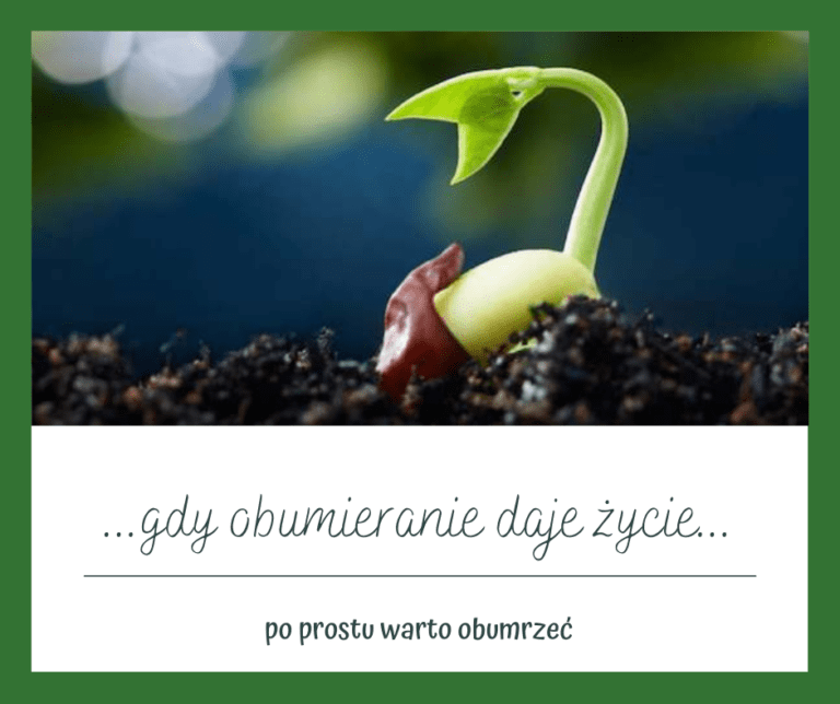 aktualności Z życia Zgromadzenia