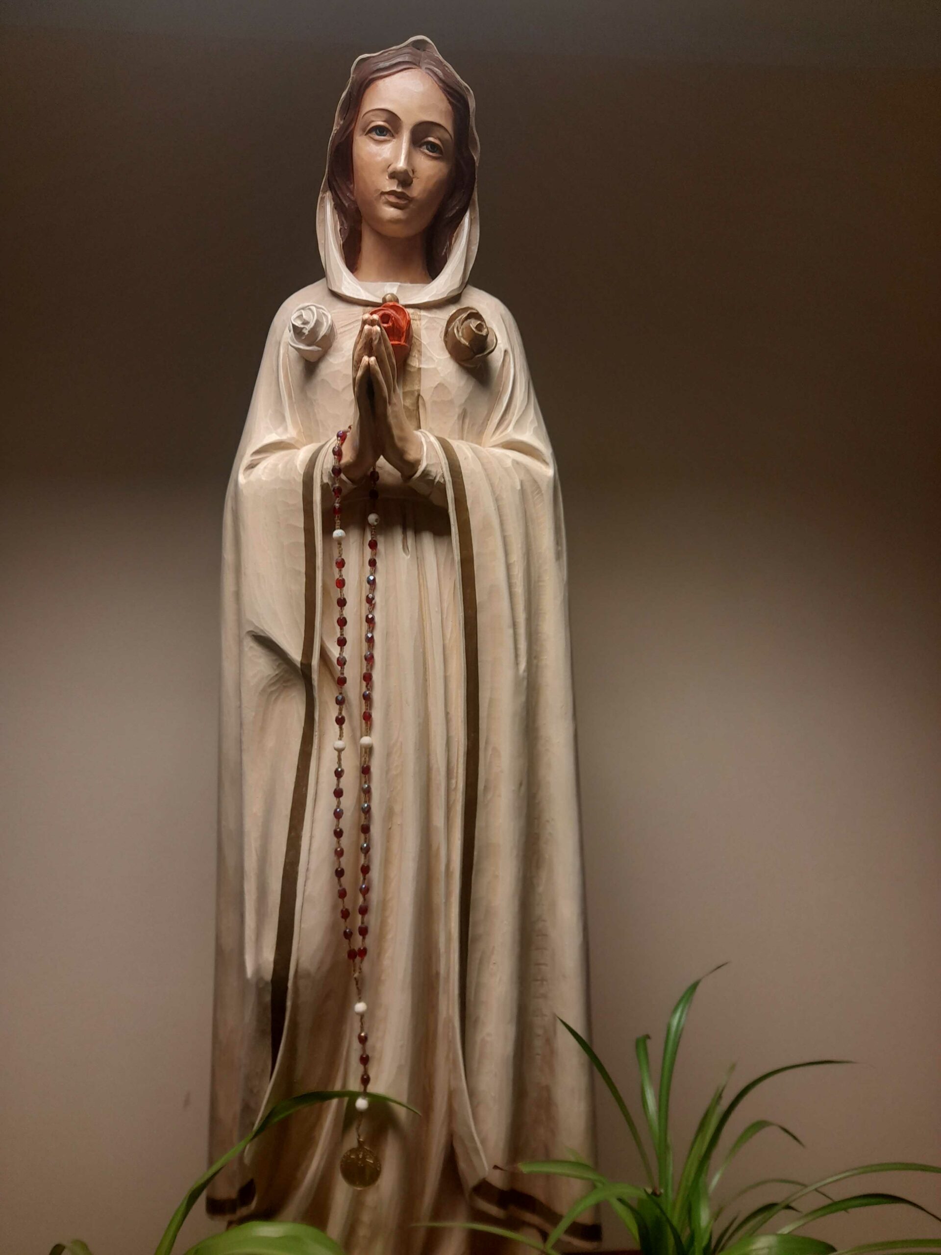 NIEPOKALANE POCZĘCIE MARYI Życie Kościoła