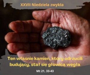 XXVII NIEDZIELA ZWYKŁA