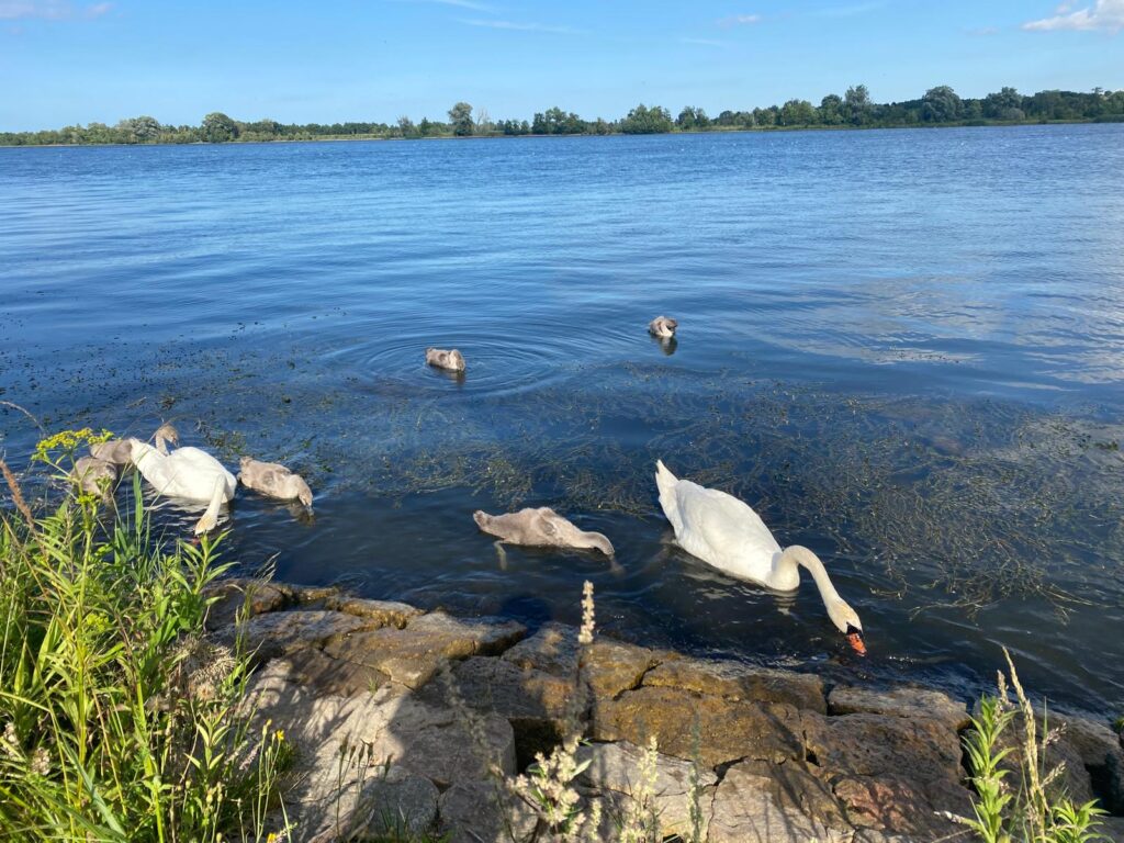 LETNI ZJAZD SIÓSTR JUNIORYSTEK Juniorat LETNI ZJAZD SIÓSTR JUNIORYSTEK Juniorat