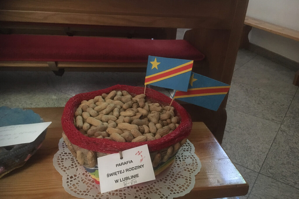 SPOTKANIE GRUP KOLĘDNIKÓW MISYJNYCH Apostolstwo Sióstr SPOTKANIE GRUP KOLĘDNIKÓW MISYJNYCH Apostolstwo Sióstr