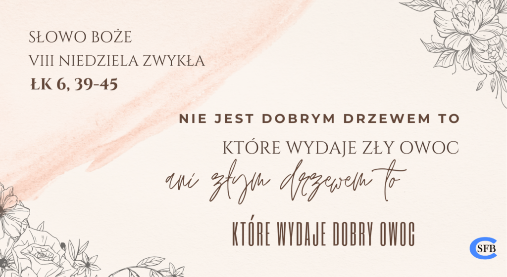 VIII NIEDZIELA ZWYKŁA Betania Młodym VIII Niedziela Zwykła