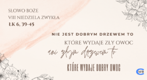 VIII Niedziela Zwykła
