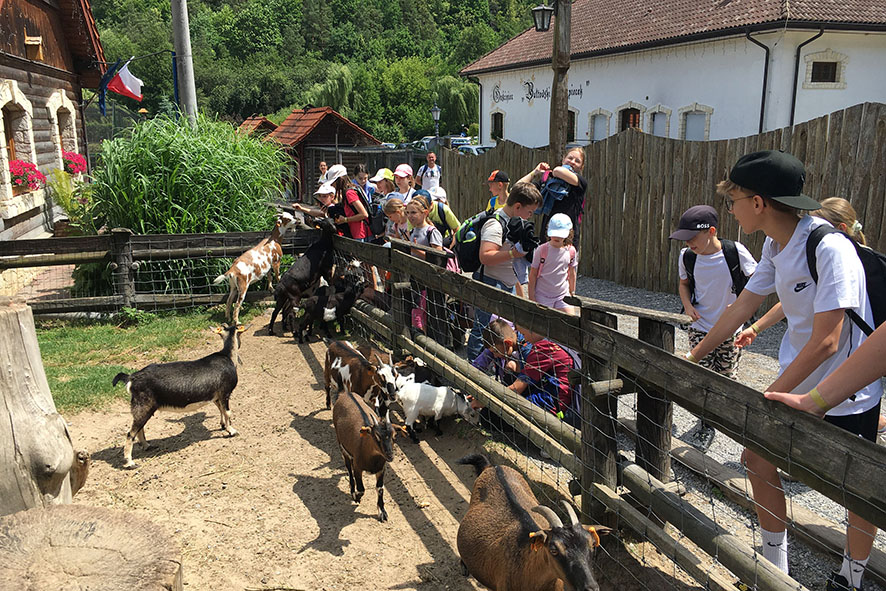 KOLONIE DLA DZIECI Apostolstwo Sióstr KOLONIE DLA DZIECI Apostolstwo Sióstr